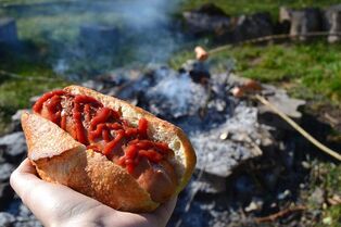 Sausage - a food harmful to health